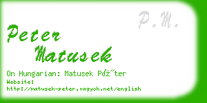 peter matusek business card